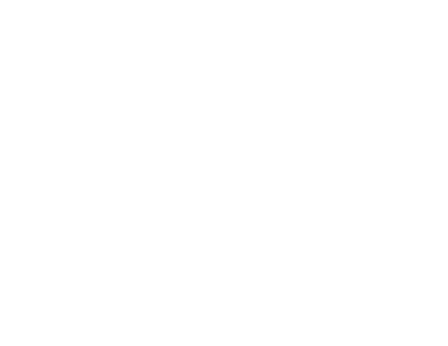 Logo von Lara Gluhak, Partnerin der Perez Media Agency